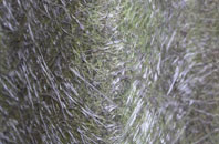 Goulton fibreglass roof work